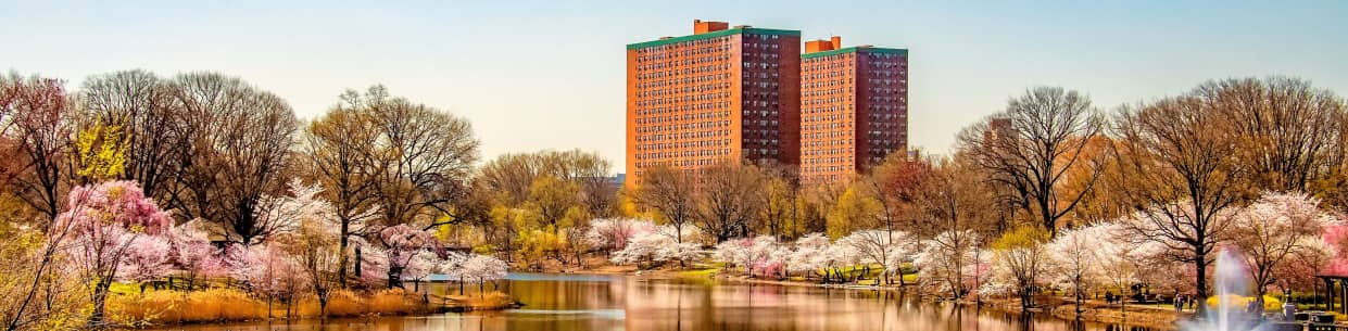new jersey va lawyers